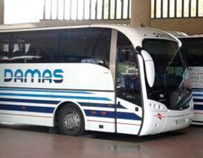 Cómo llegar a la aldea de El Rocío en autobús: horarios y precios desde Sevilla y Huelva