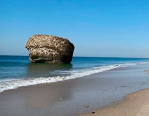 Torre de la Higuera: Historia de la Piedra de Matalascañas, o tampón de Matalascañas como también se le conoce